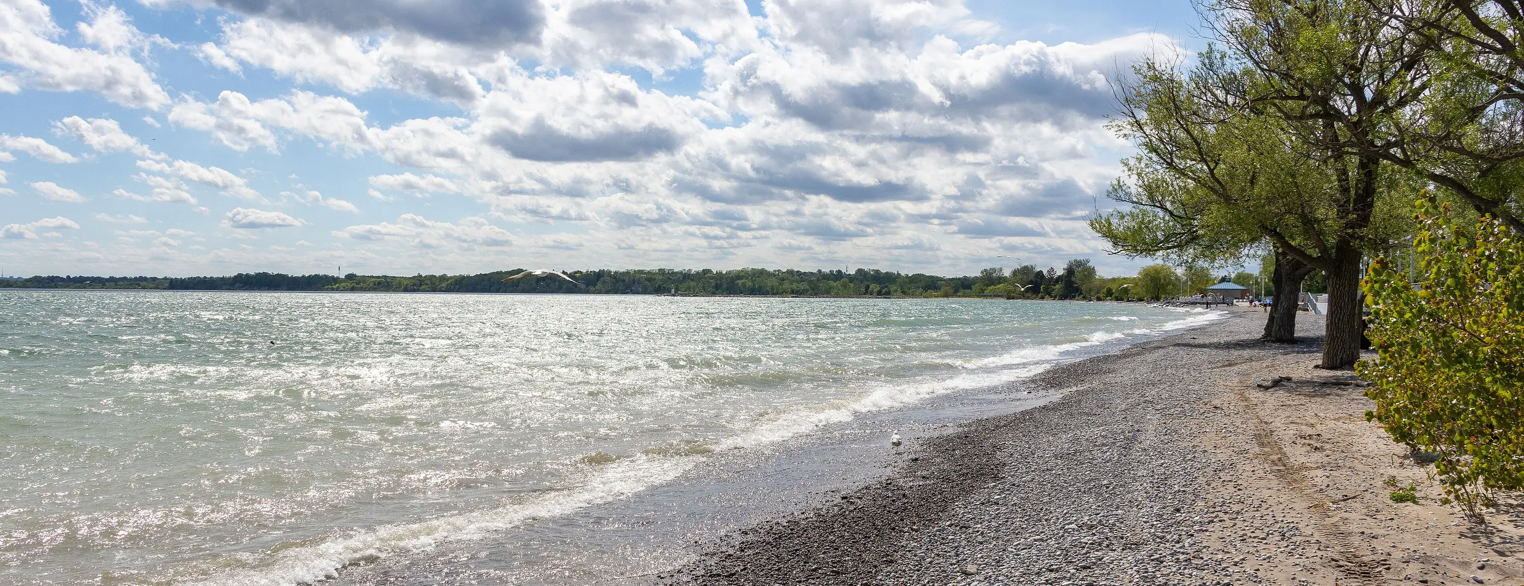 Lake Ontario shoreline at the Pickering waterfront