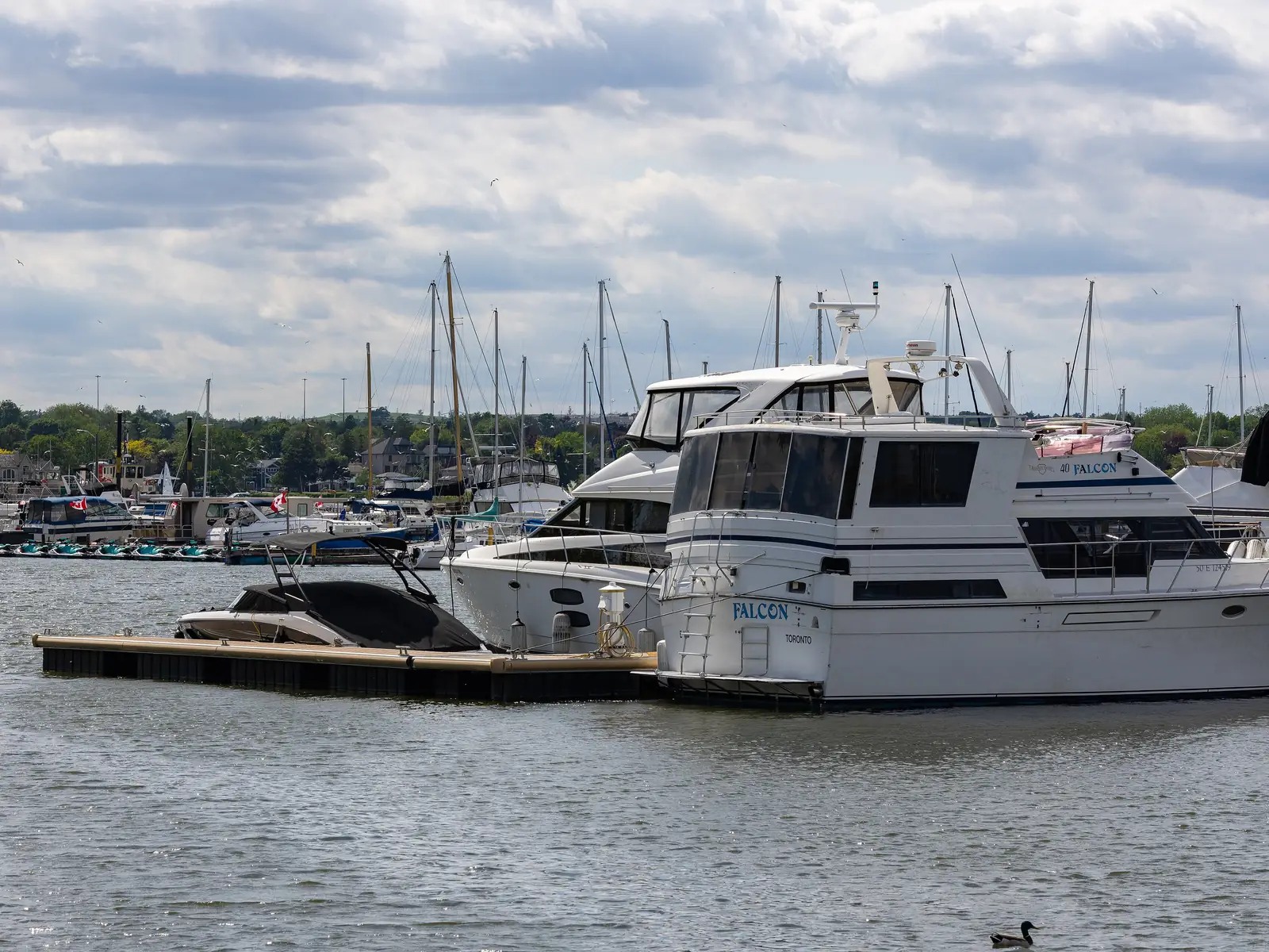 Boats at Frenchman's Bay Marina, Pickering